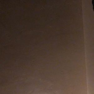 Meet your Posher, Hudson